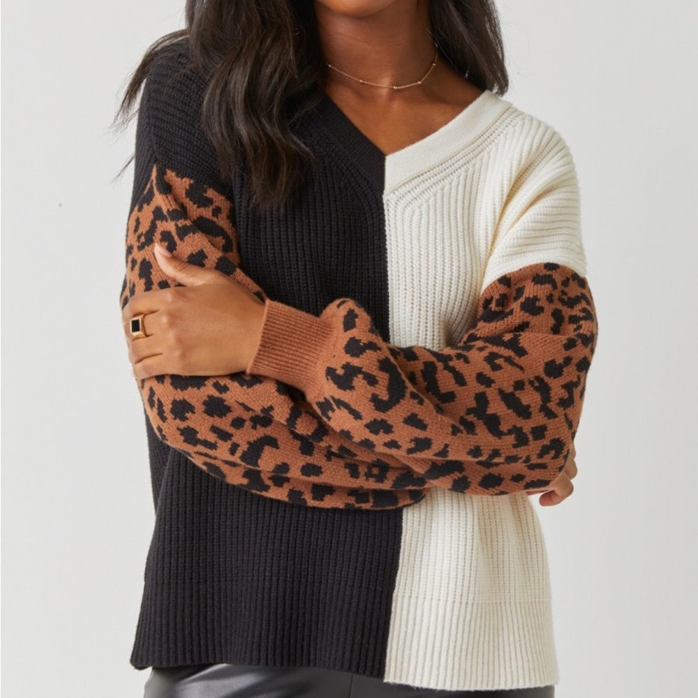Louise Animal Colorblock Sweater